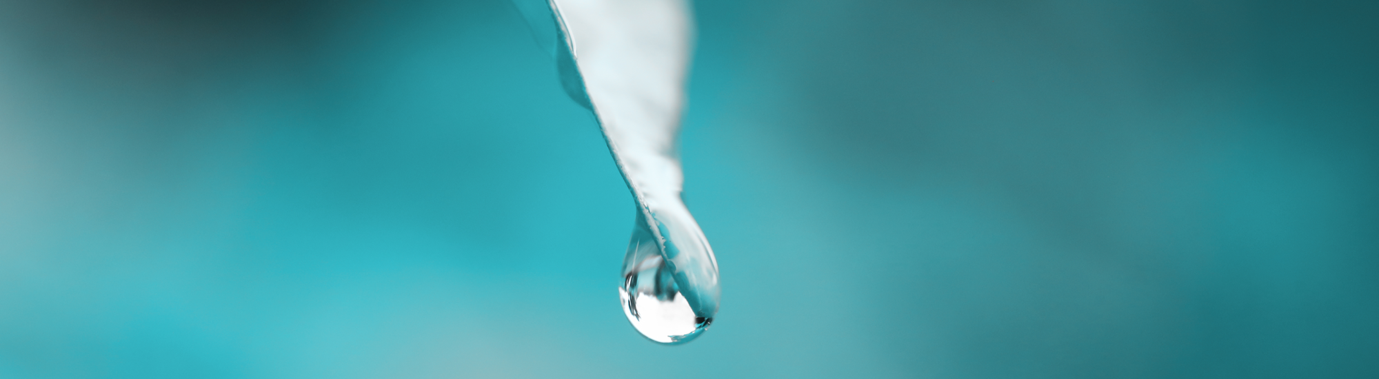 Trillium ESG Global Equity Fund