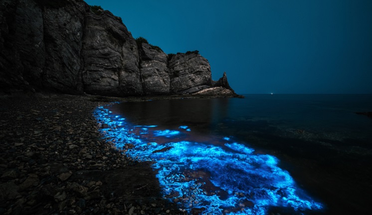 beach-bioluminescence-746-419.jpg
