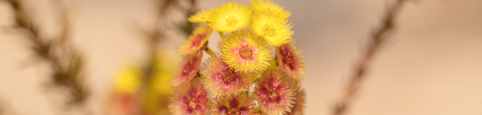 Supporting First Nations Communities