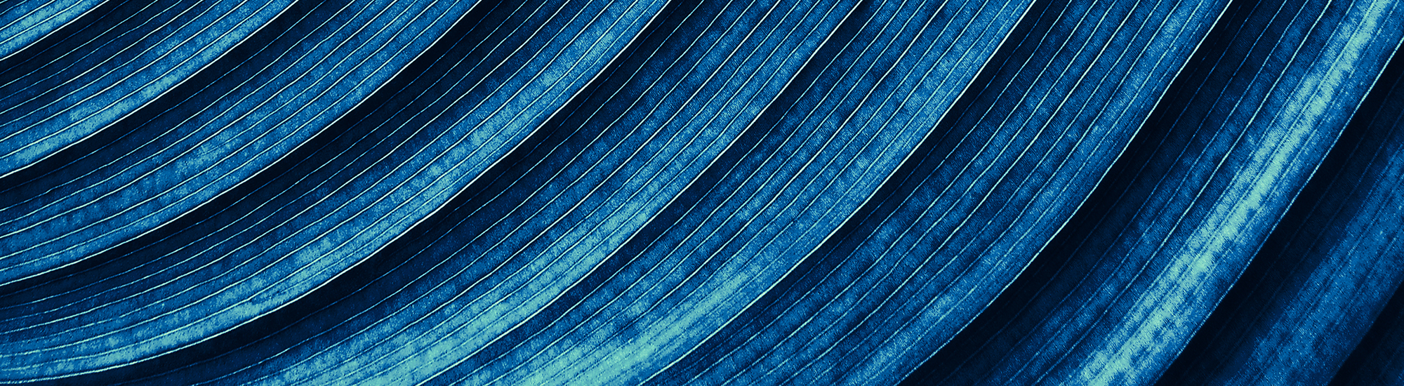 Distribution reinvestment plan