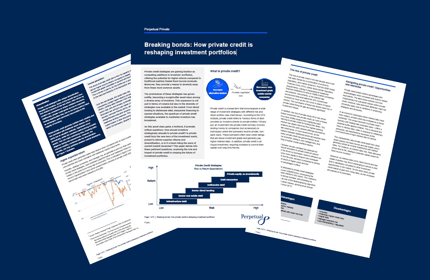 PP_Insights_thumbnail - thumbnail.jpg